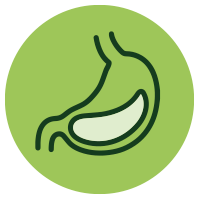 Digestión ligera y natural
